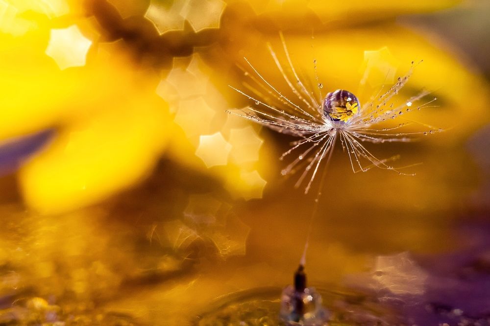 Photograph by Тата Бакбак