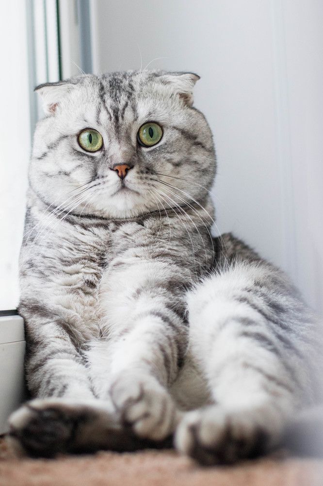 Photograph by Дмитрий