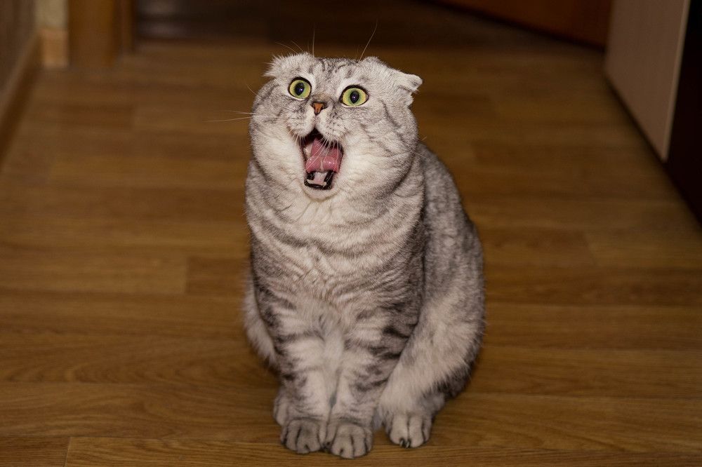 Photograph by Дмитрий