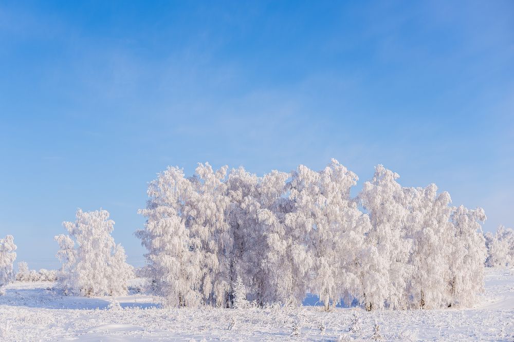 Засеребрило...