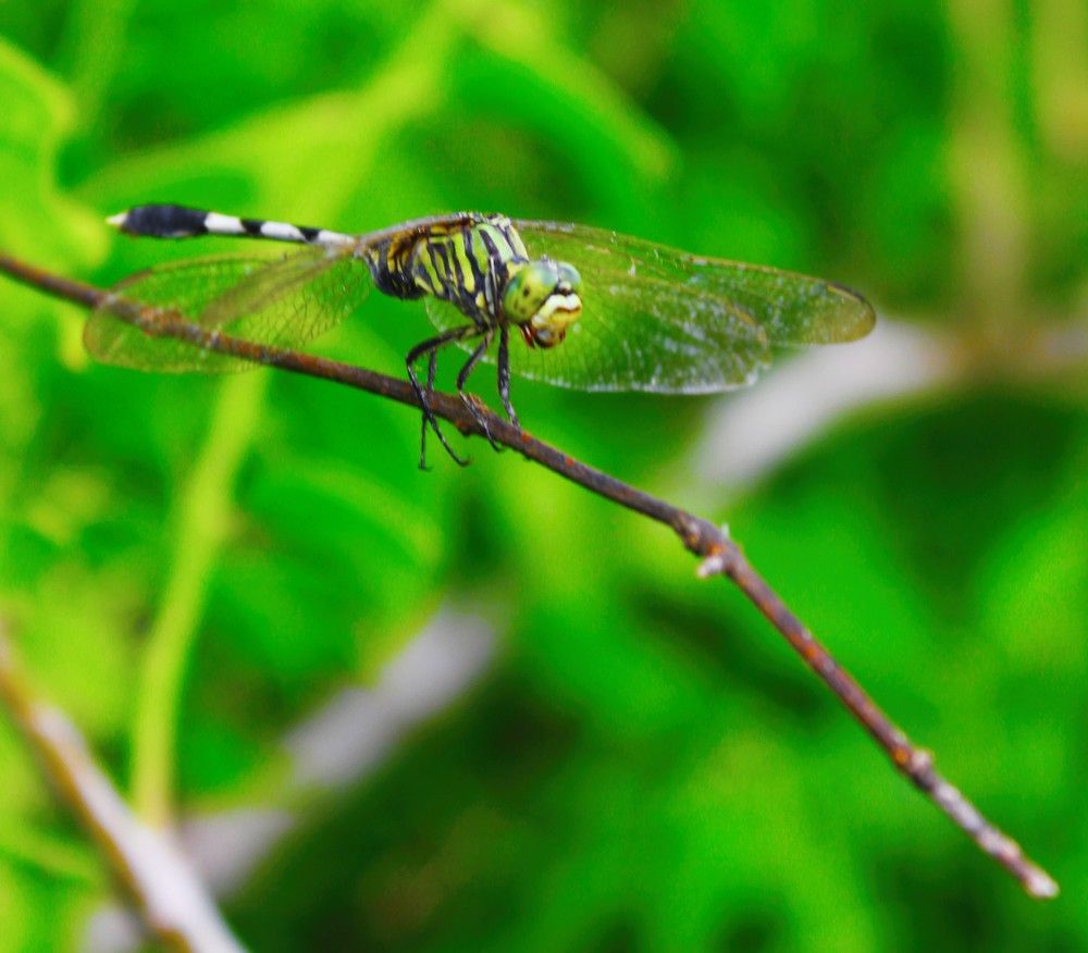 Photograph by Sarmad Sindhi