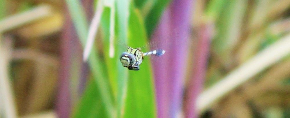 Photograph by Sarmad Sindhi