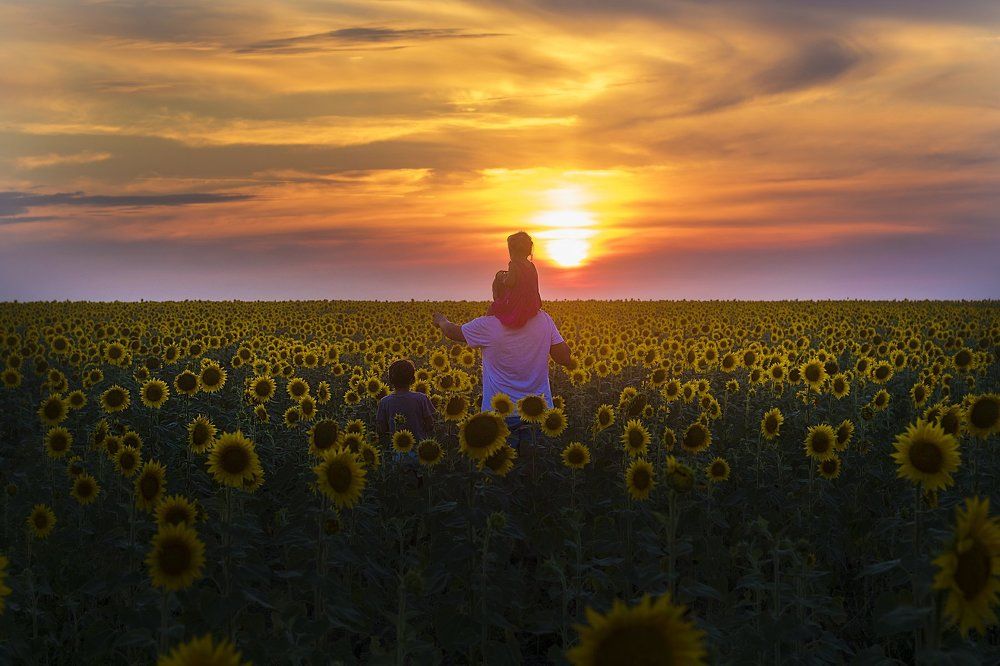 В лучах заходящего солнца
