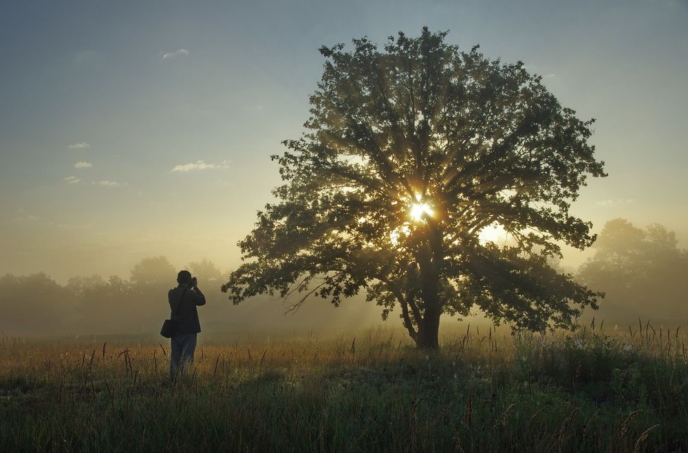 Ловец света