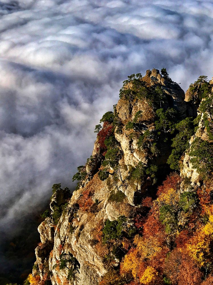 Над облаками