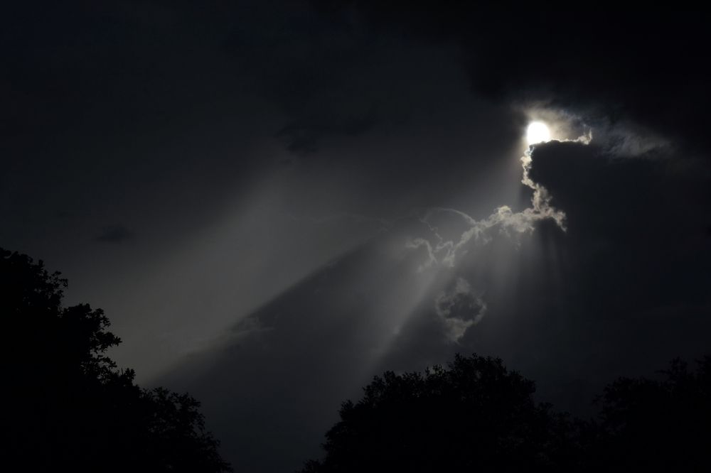 THE EYE OF THE UNIVERSE OBSERVES US