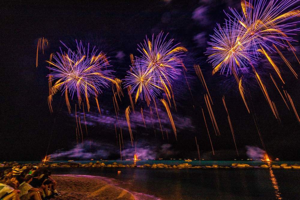 Васельки в небе