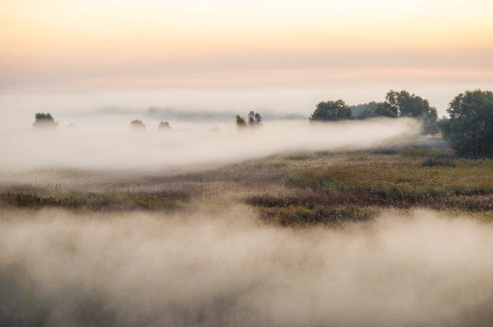 Крадущийся туман