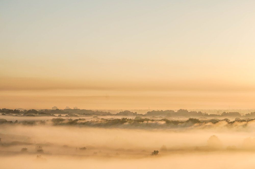 Золотой туман