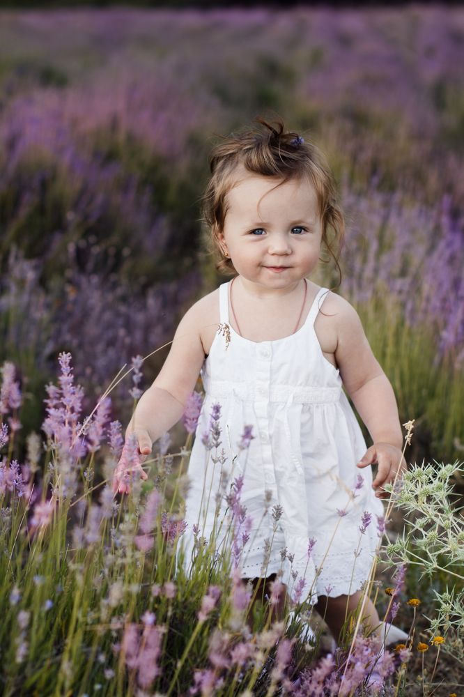 Крымская лаванда