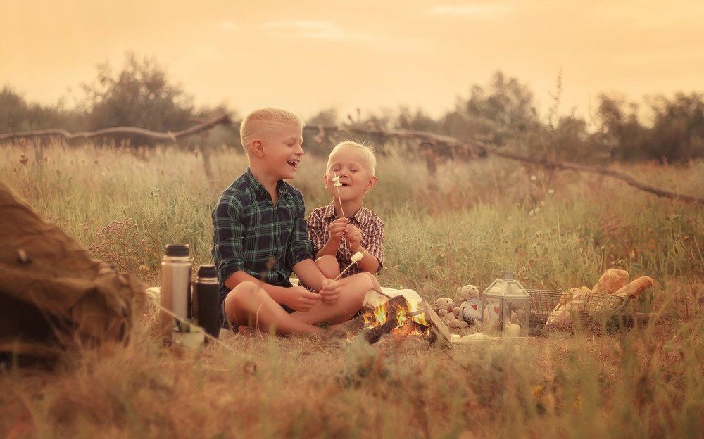 Братья пошли в поход