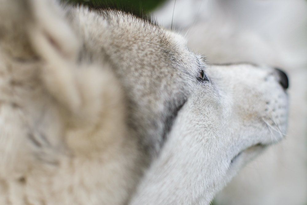 Редкие моменты спокойствия