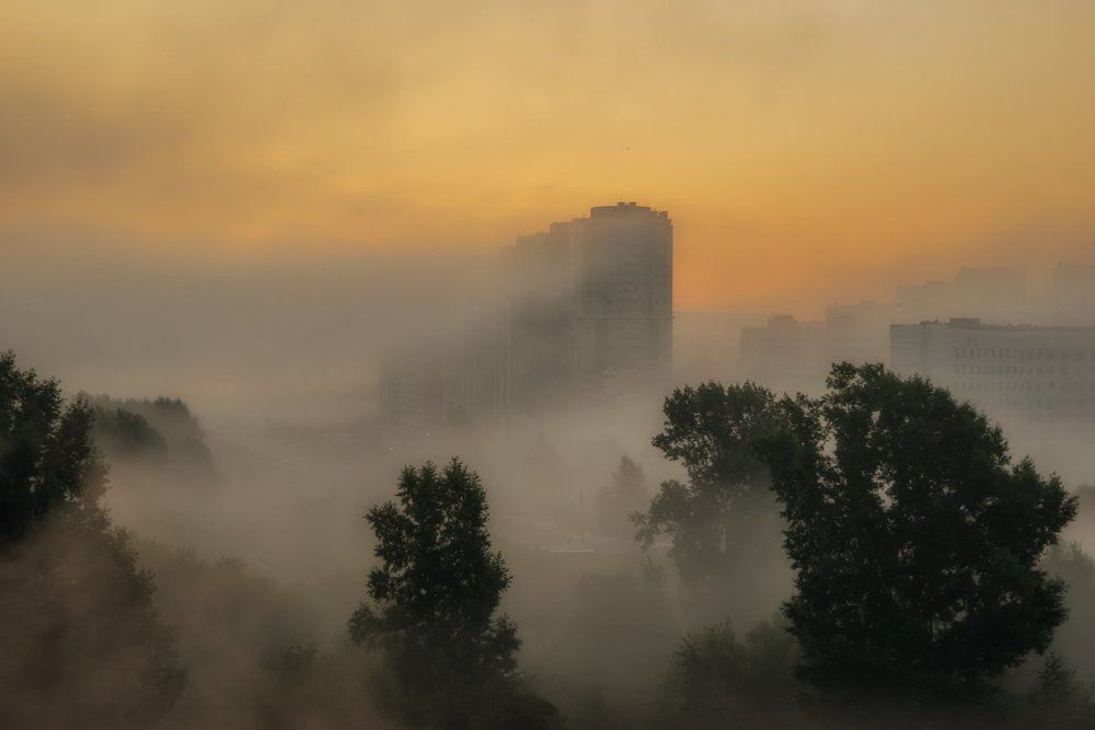 туманное утро