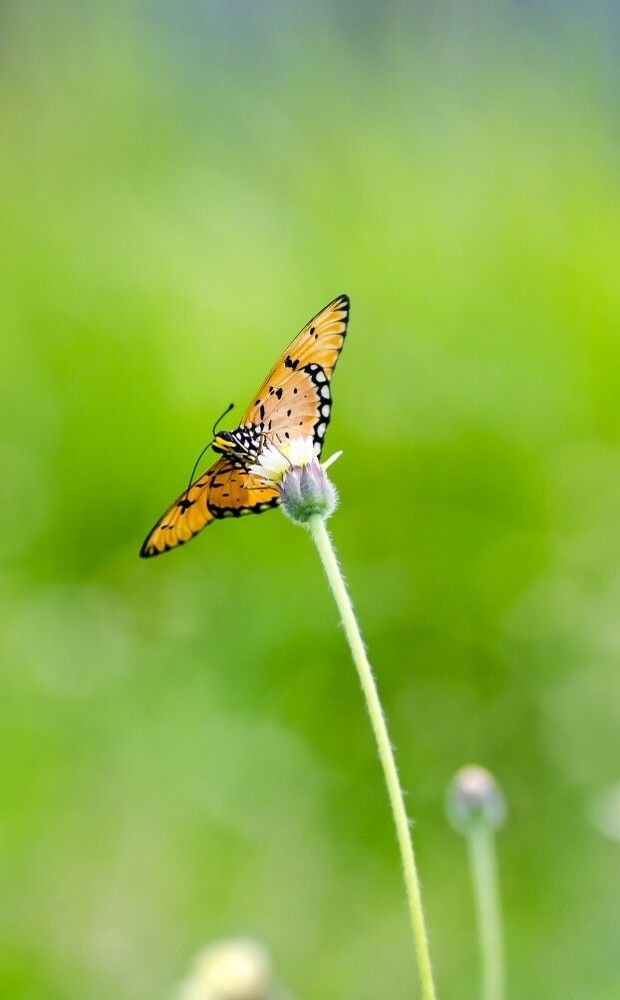 Photograph by nailul