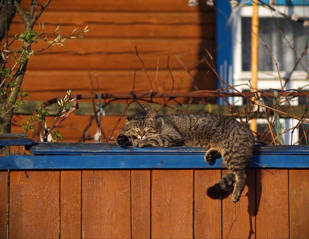 Photograph by Сергей Шляга