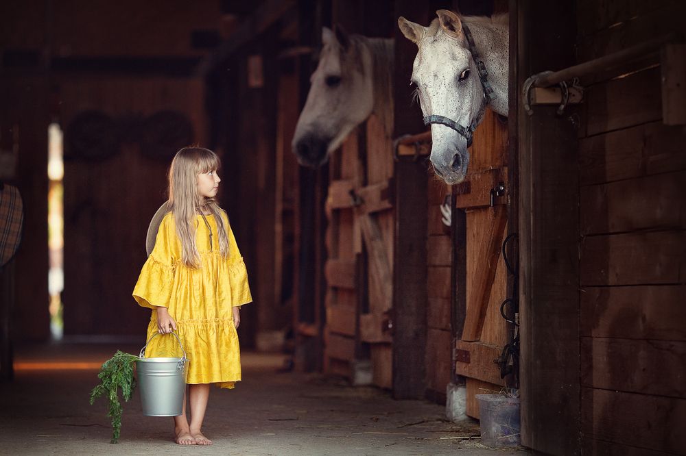 Фотография автора Ольга Шустер