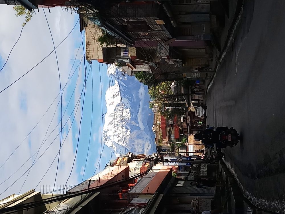 Photo #2539645