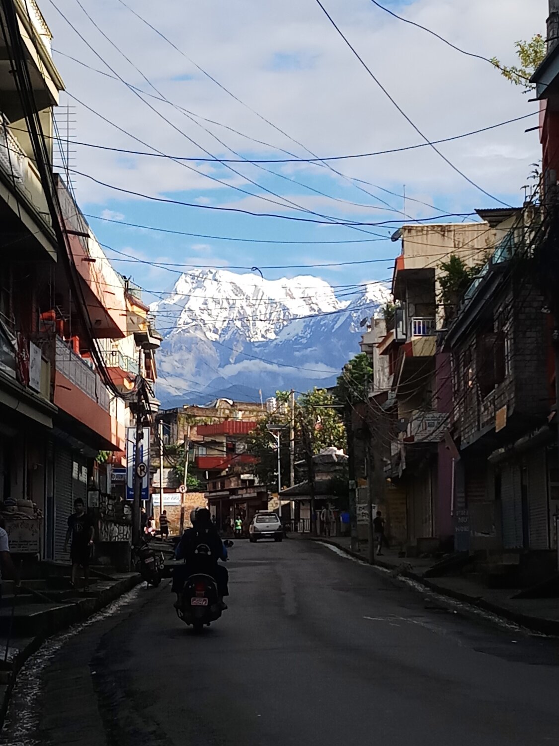 Photo #2539645
