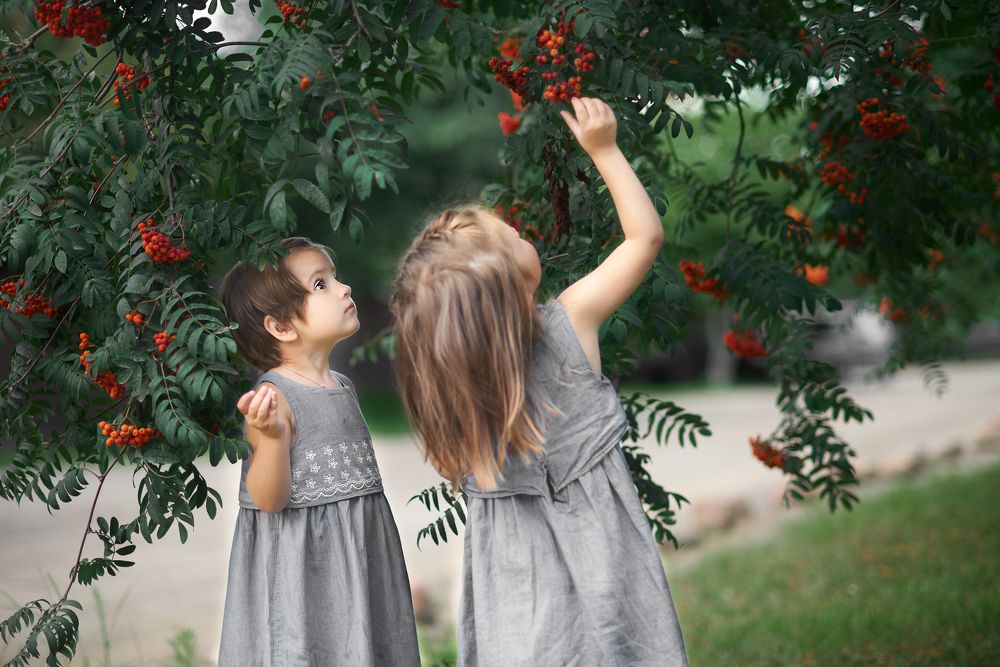 почти сестры