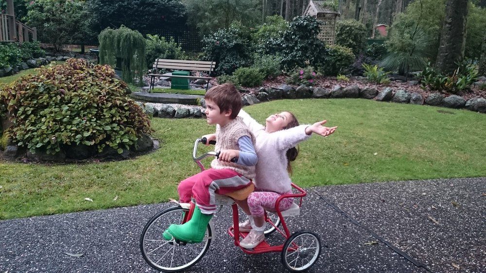 Joy of the garden