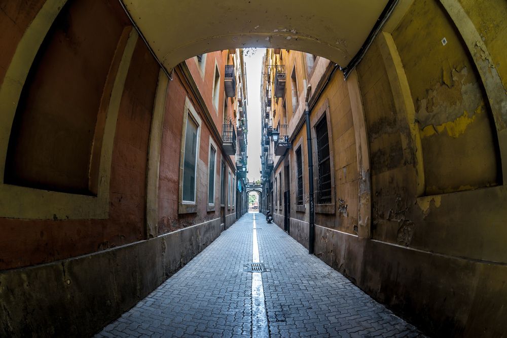 Photograph by Сергей