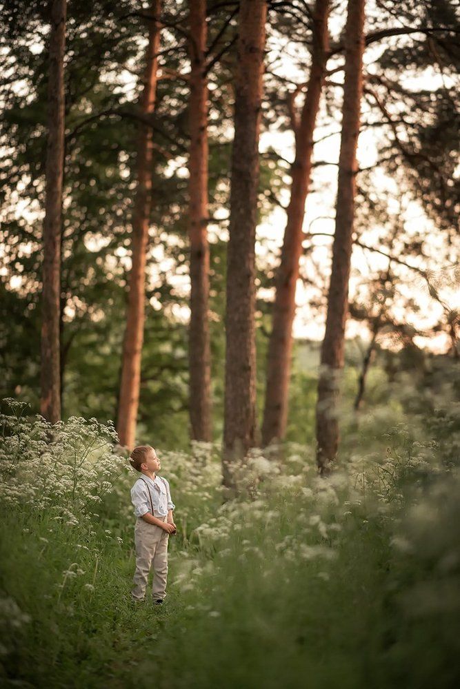 В сказочном лесу