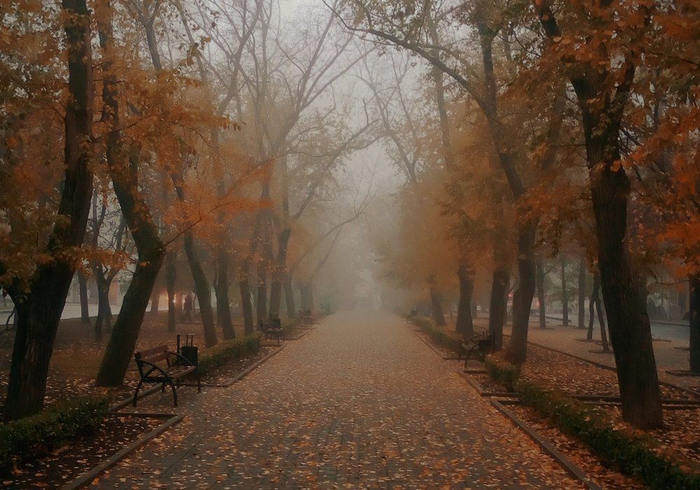 Осенний парк