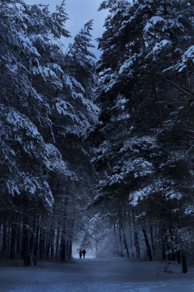 Photograph by Яна Кобелева