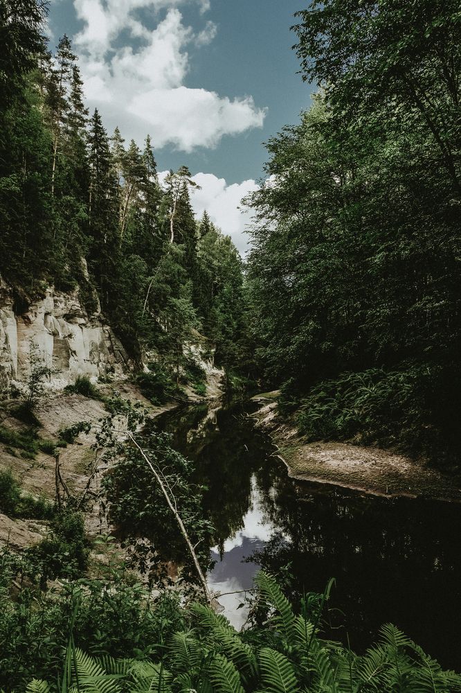 Пятая скала