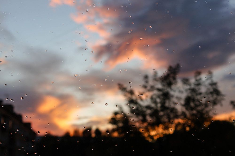 Photograph by Илья Бузаев