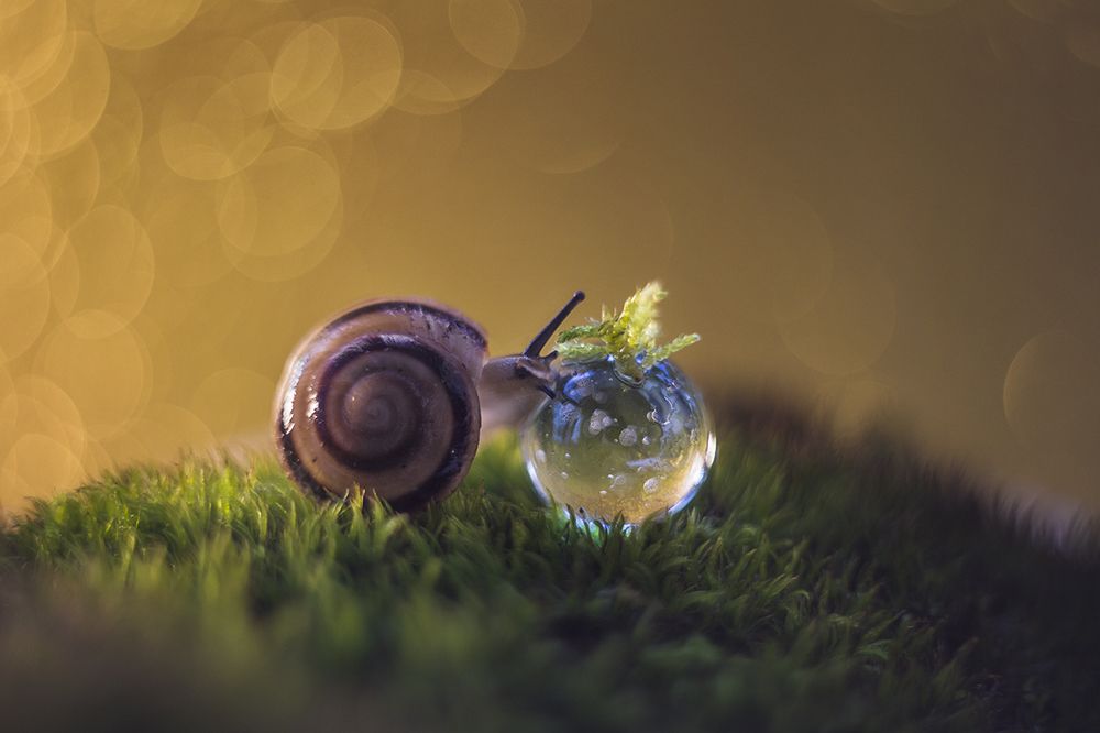 Большая капля.