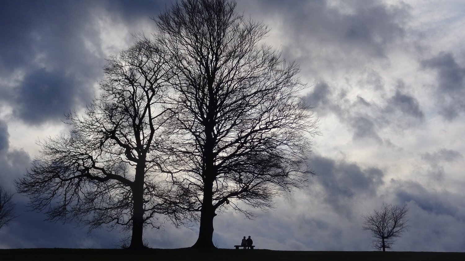 The Silhouette