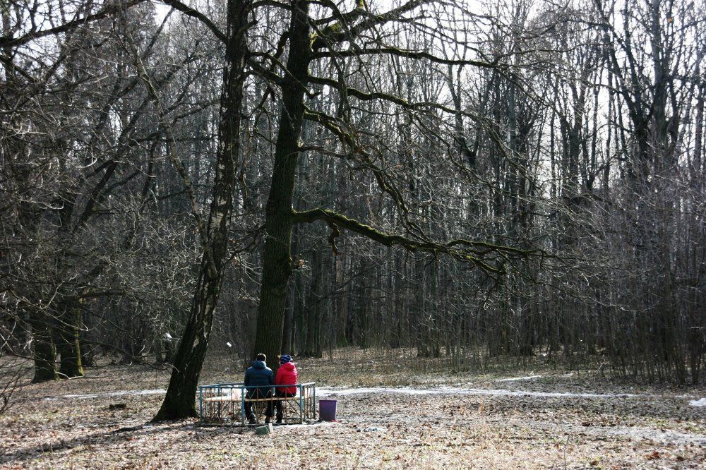 На скамейке
