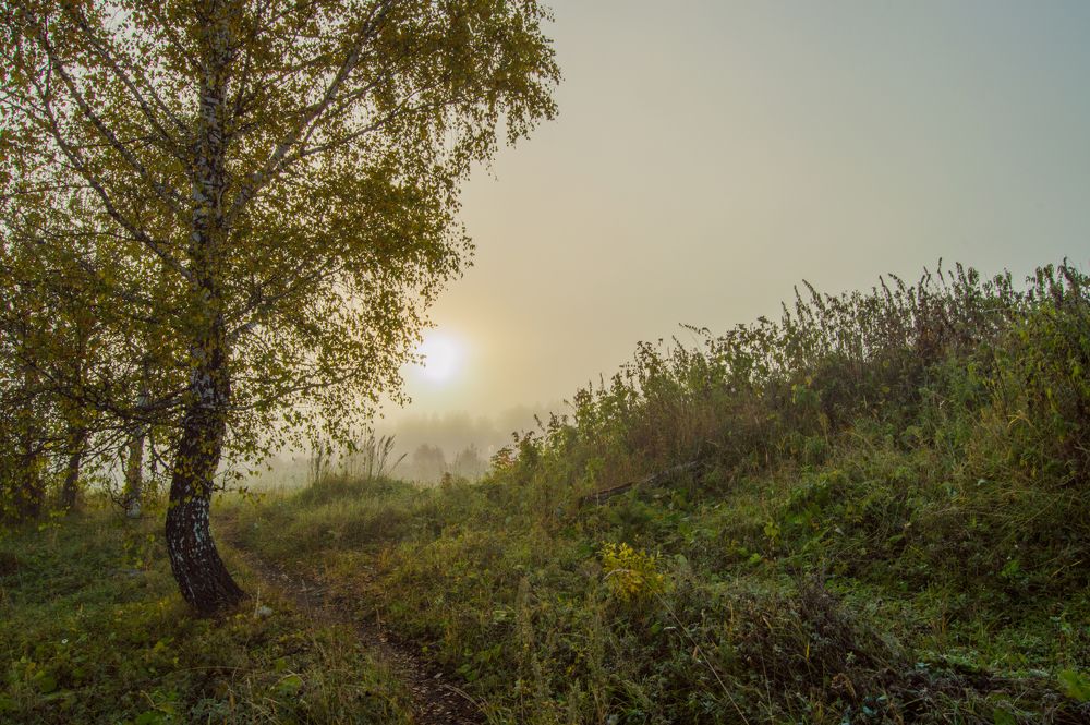 Photograph by Татьяна Боталова