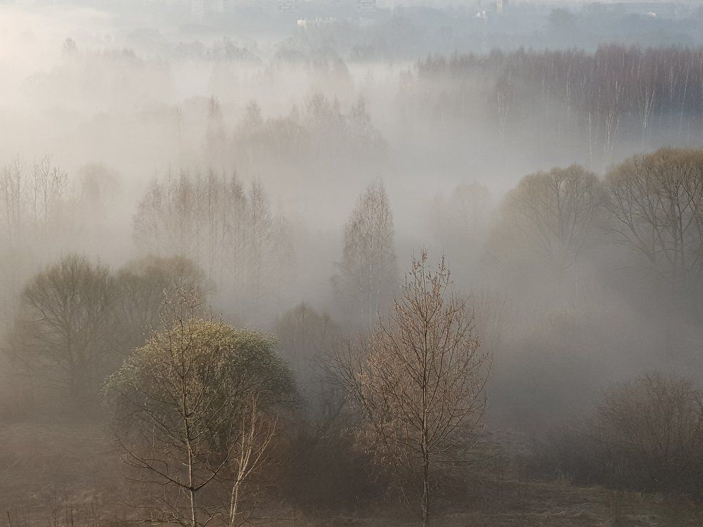 Москва. Утро.