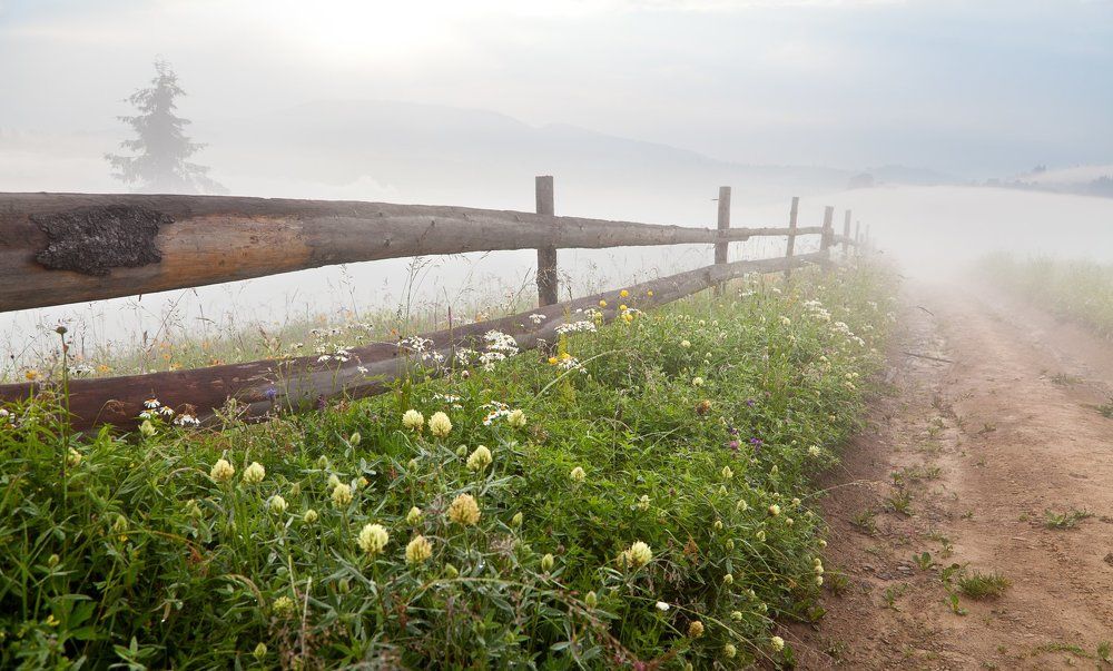 Даль подернулась туманом...