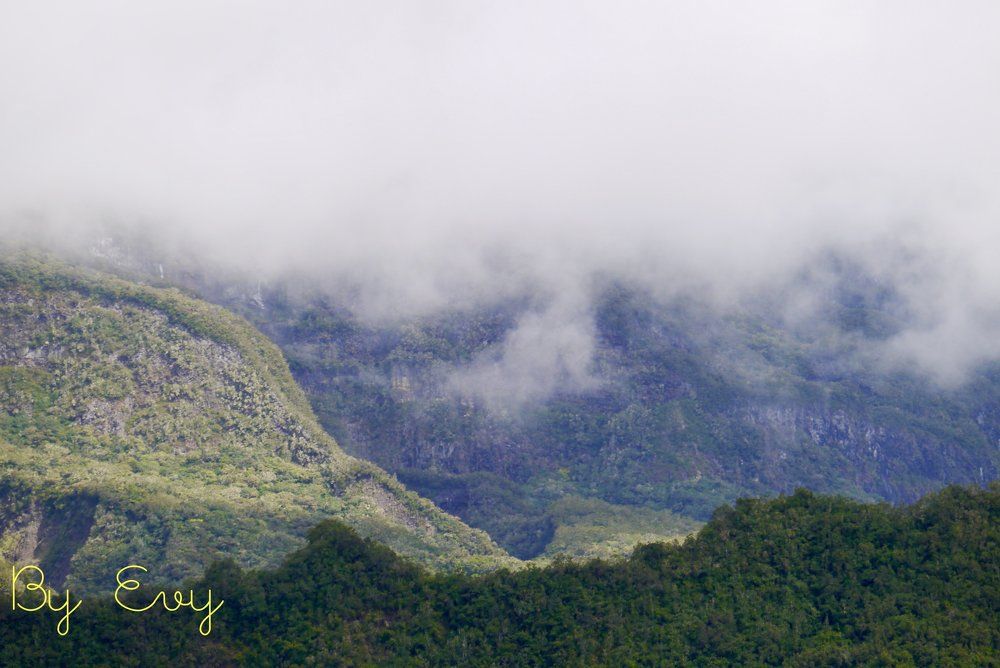 Brouillard dans les montagnes
