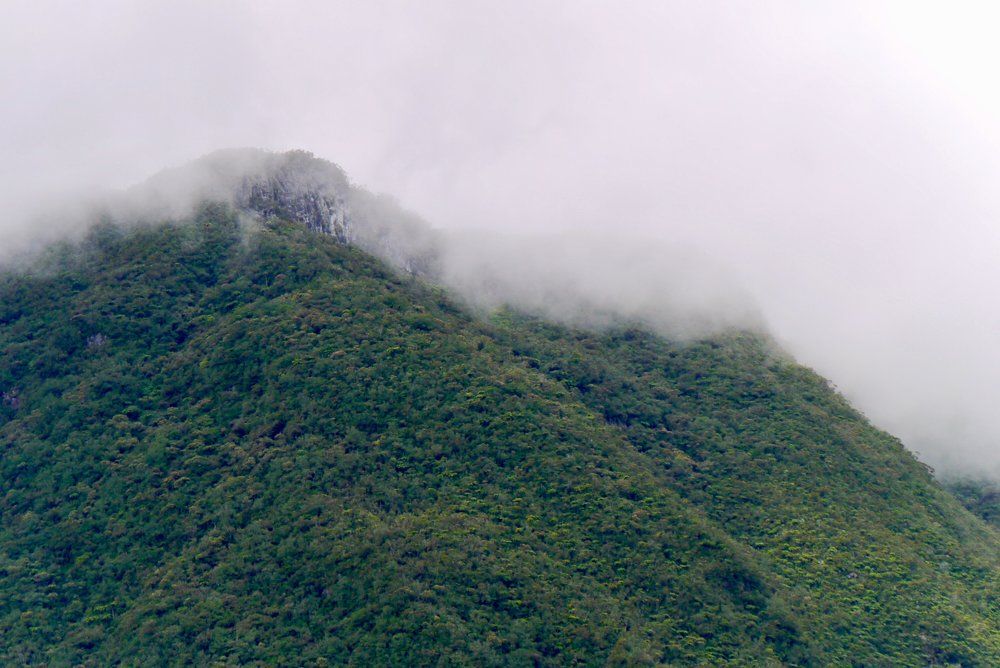 Arrivée du brouillard