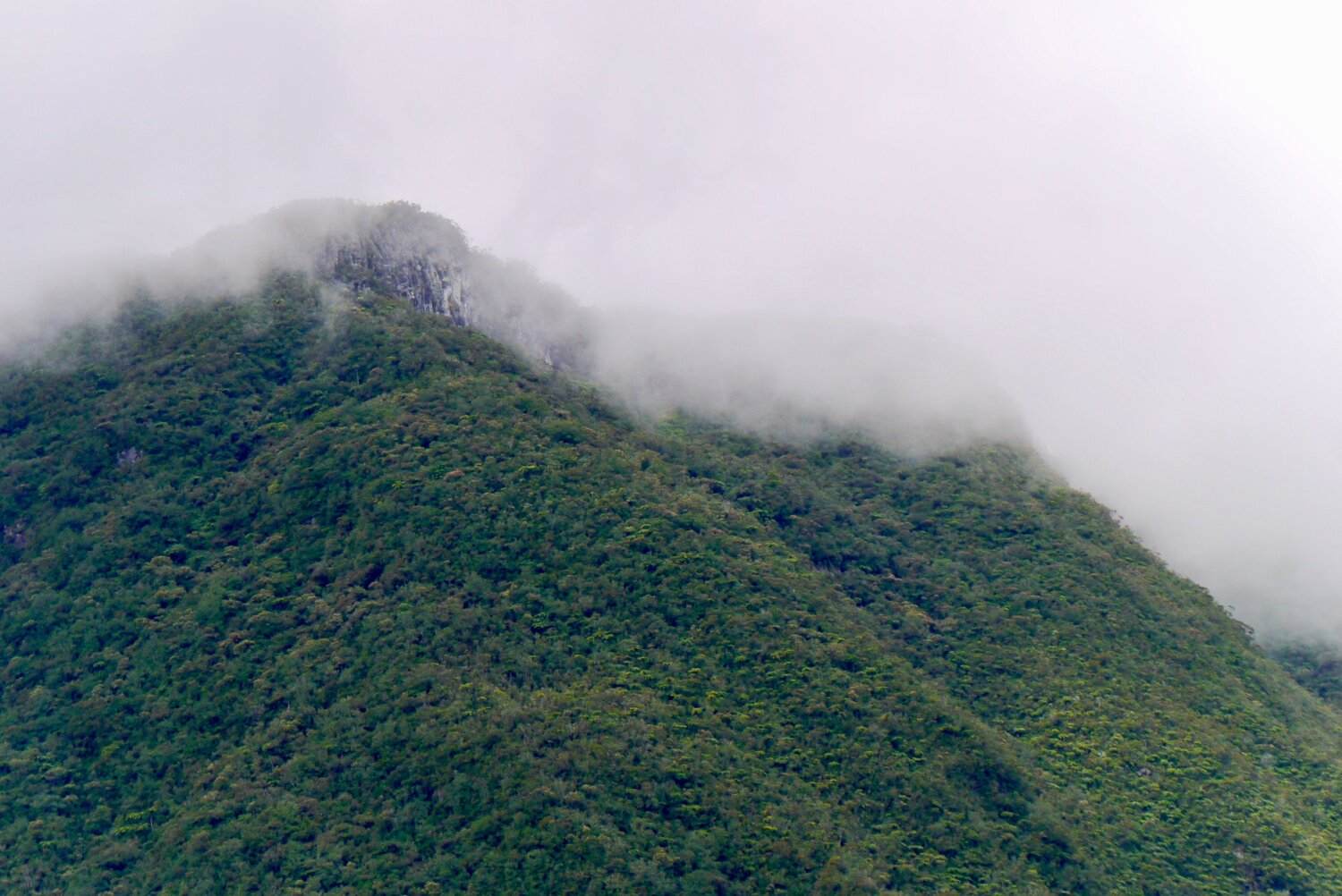 Arrivée du brouillard