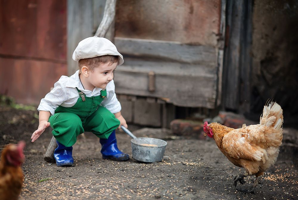 Кто в доме хозяин