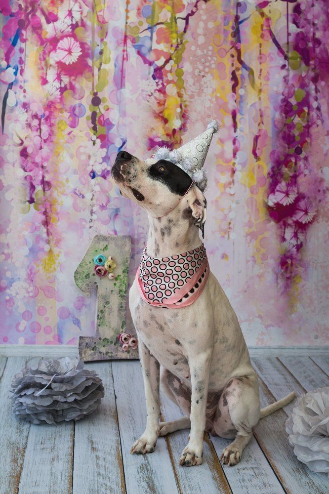 Именинница