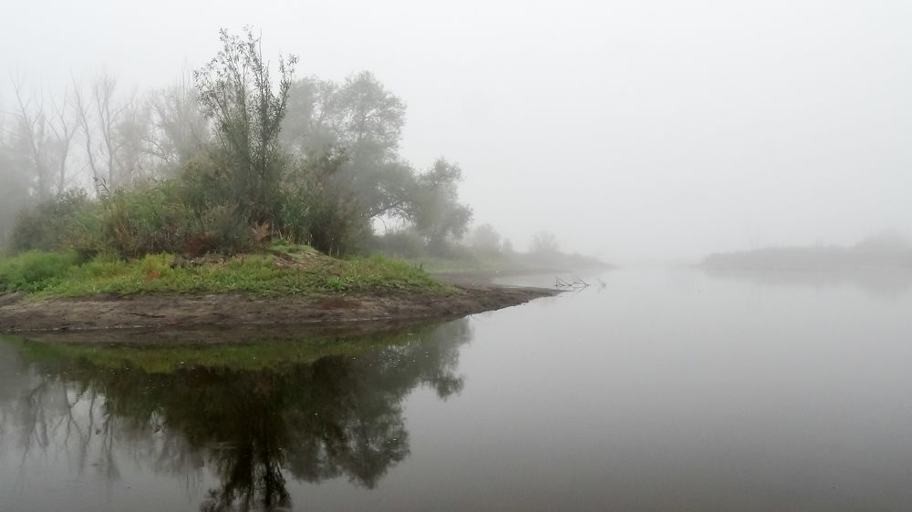 Утренний туман