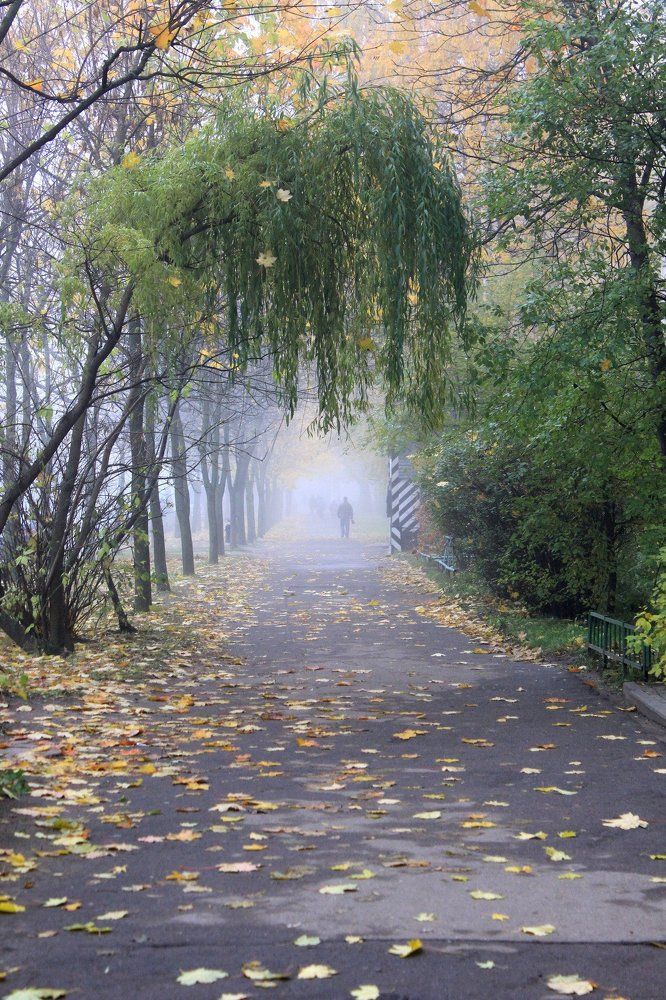 Photograph by Дарья Вольская