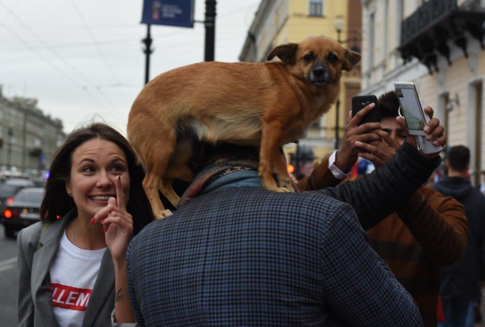 Живой воротник.