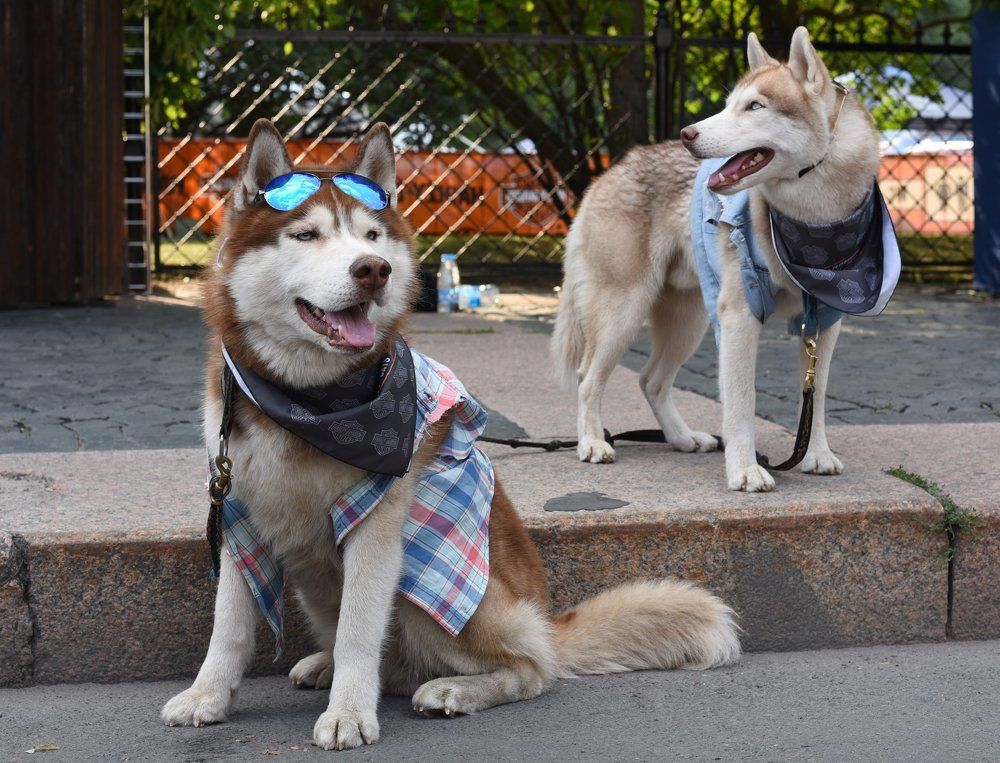 Невозмутимость.