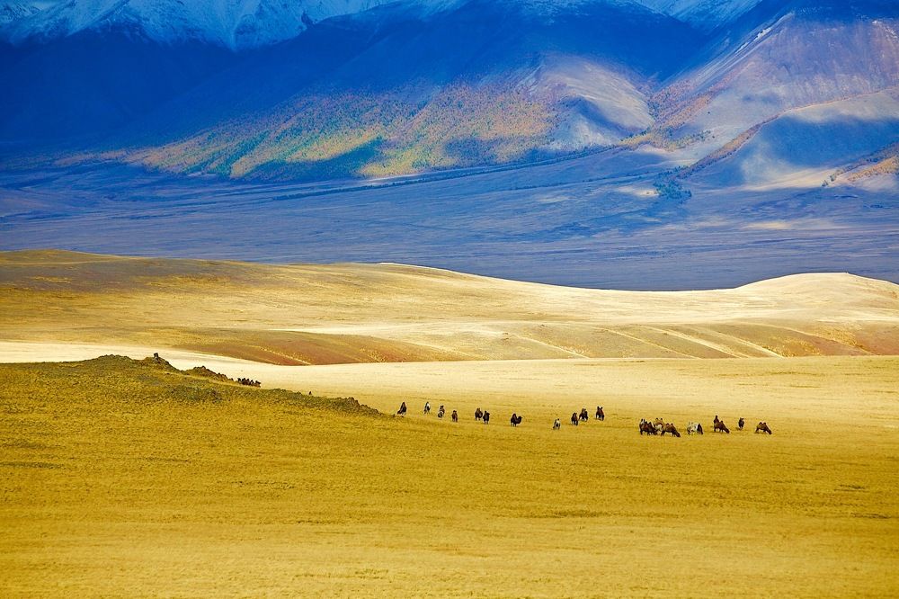 горы золотые