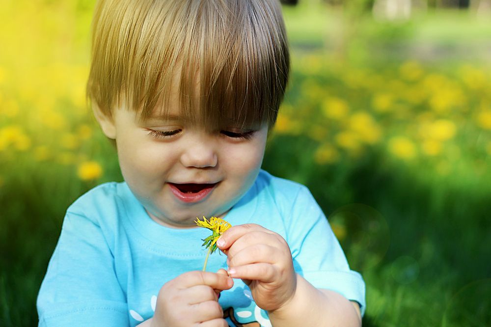 Одуванчик зацвел...