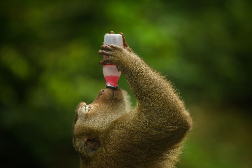 Имидж ничто, жажда все