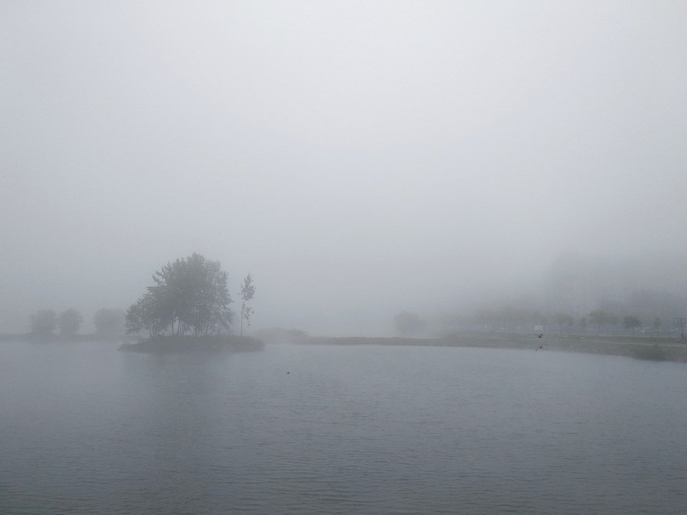 Сново туман