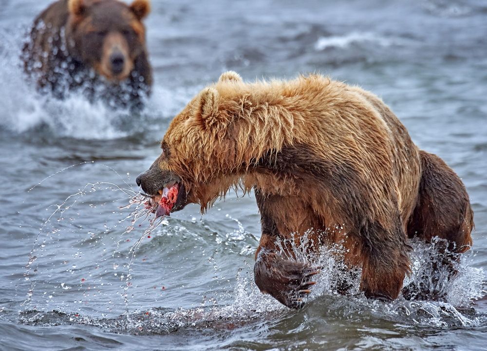 Надо бежать